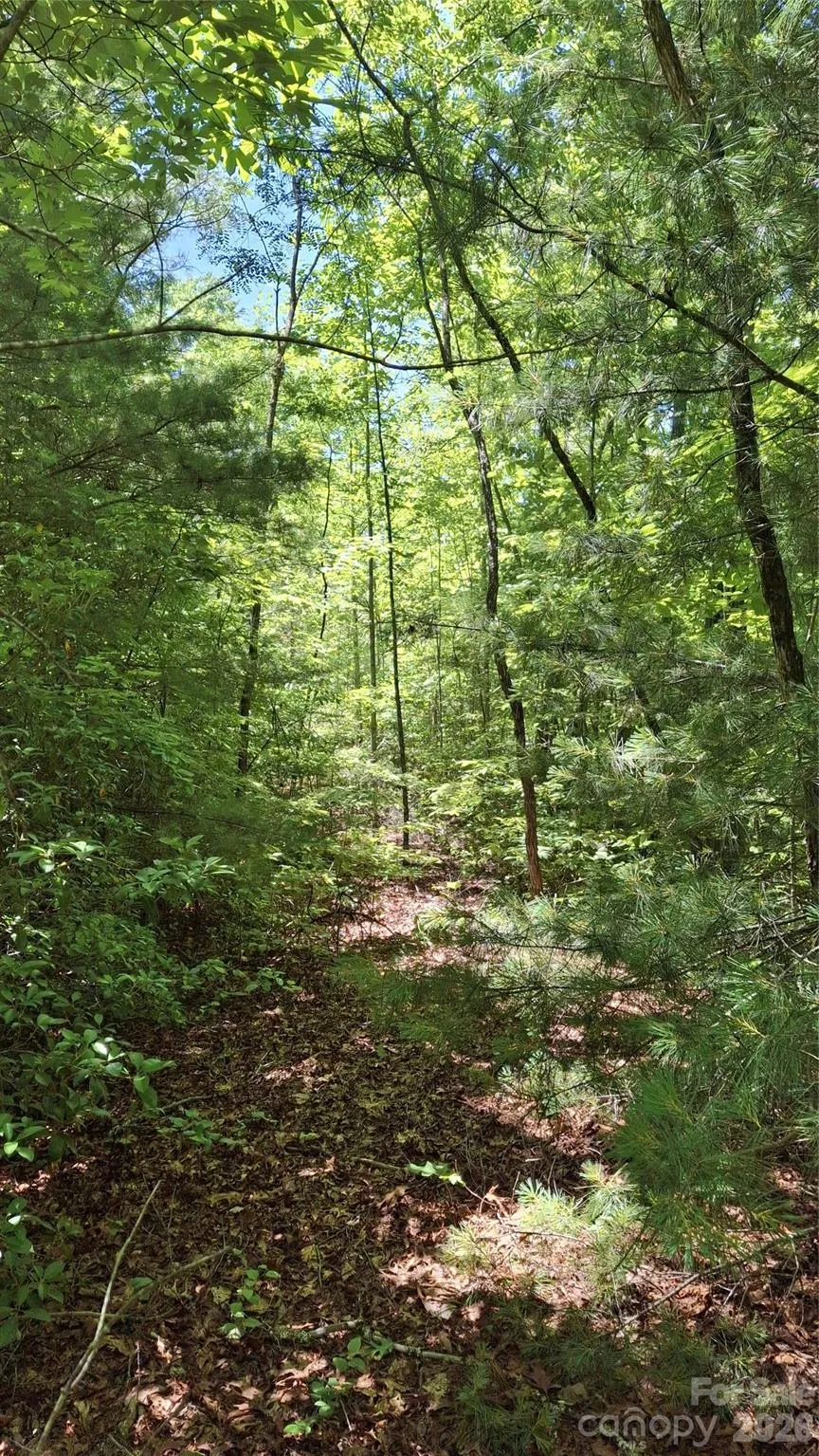 272 Kako Ridge #64 Sylva, NC 28779