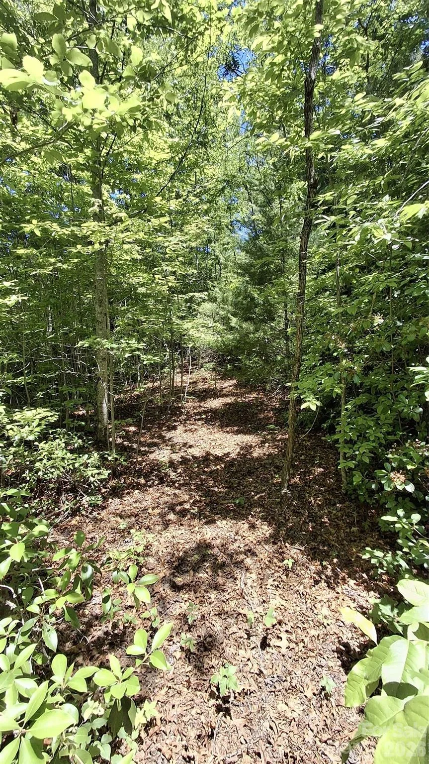 272 Kako Ridge #64 Sylva, NC 28779