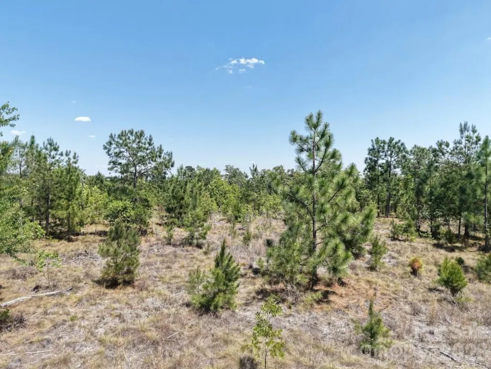 2 McQueen Road Patrick, SC 29584