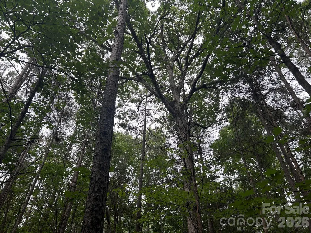 3909 Wightman Church Road Polkton, NC 28135