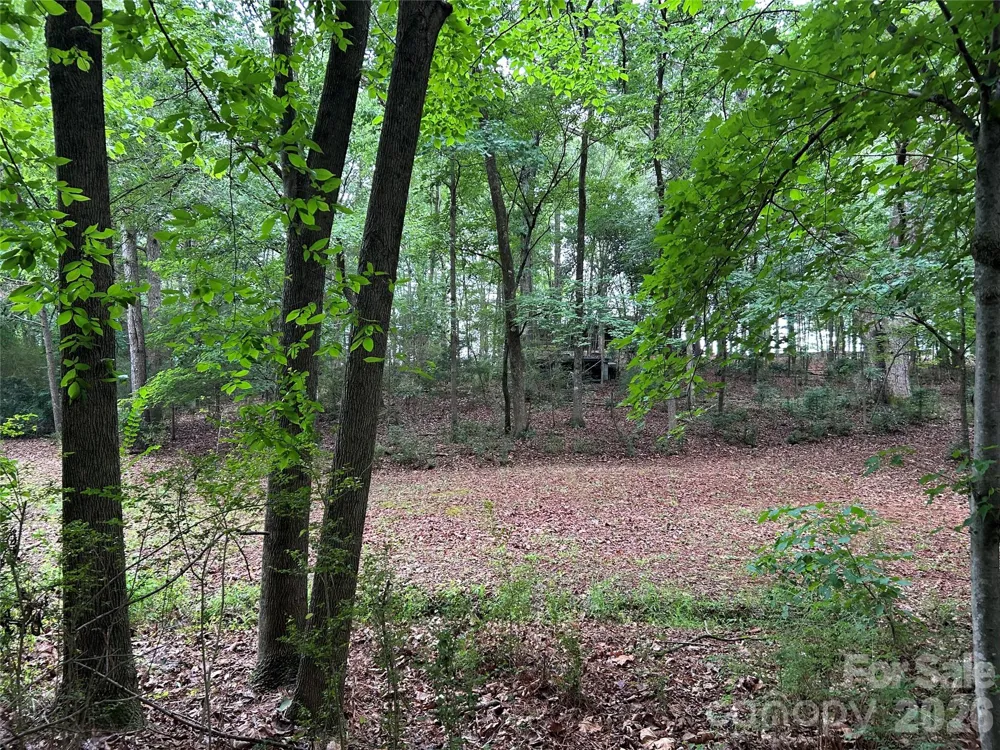 3909 Wightman Church Road Polkton, NC 28135