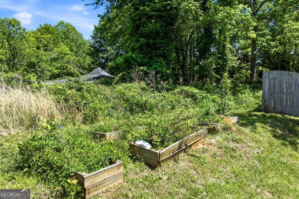 144 Georgia ST Demorest, GA 30535