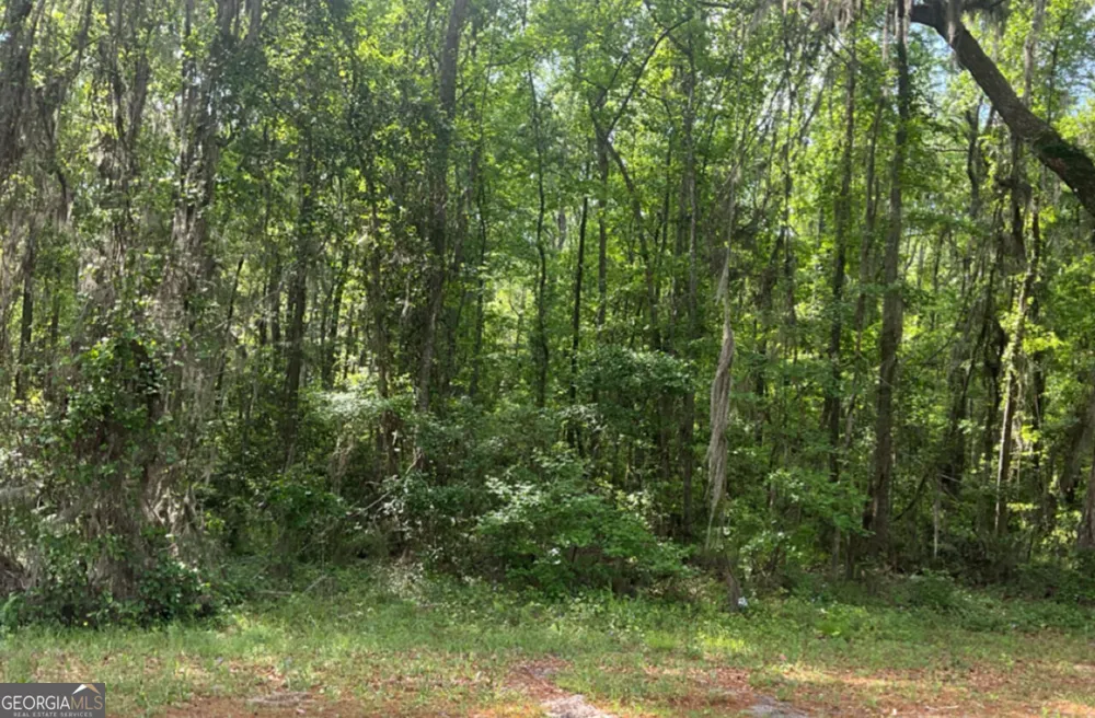 0 Youngman RD Townsend, GA 31331