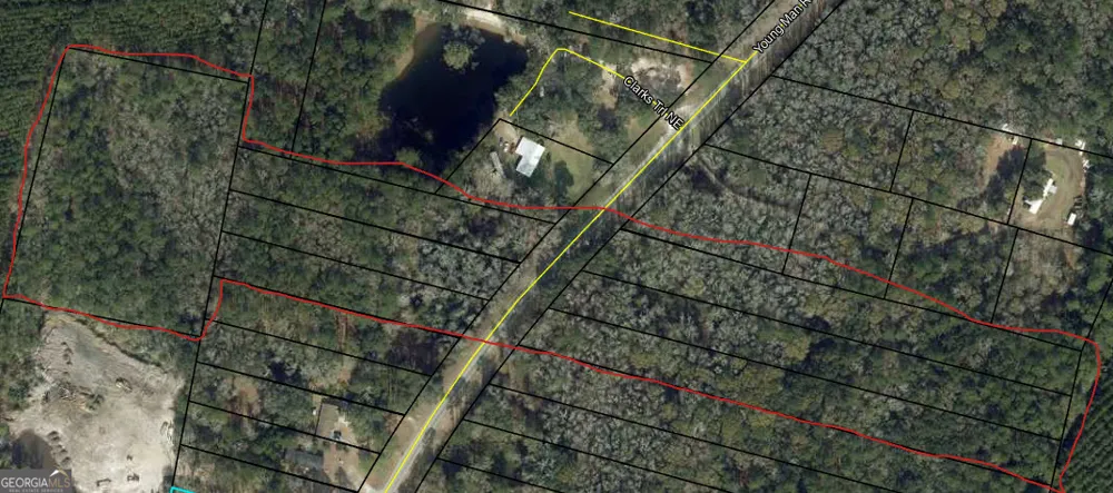 0 Youngman RD Townsend, GA 31331