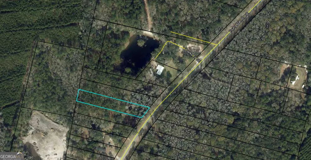 0 Youngman RD Townsend, GA 31331