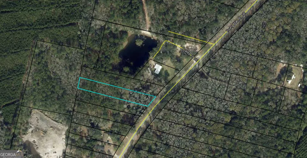 0 Youngman RD Townsend, GA 31331