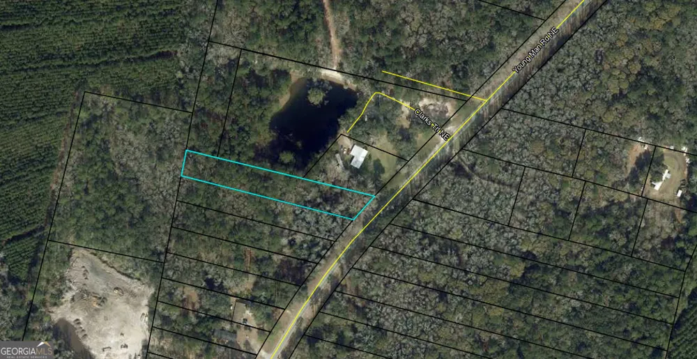 0 Youngman RD Townsend, GA 31331