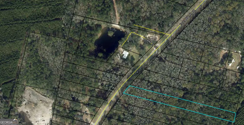 0 Youngman RD Townsend, GA 31331