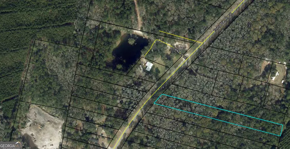0 Youngman RD Townsend, GA 31331