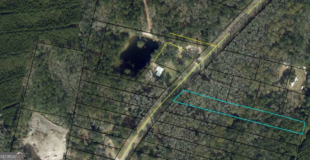 0 Youngman RD Townsend, GA 31331