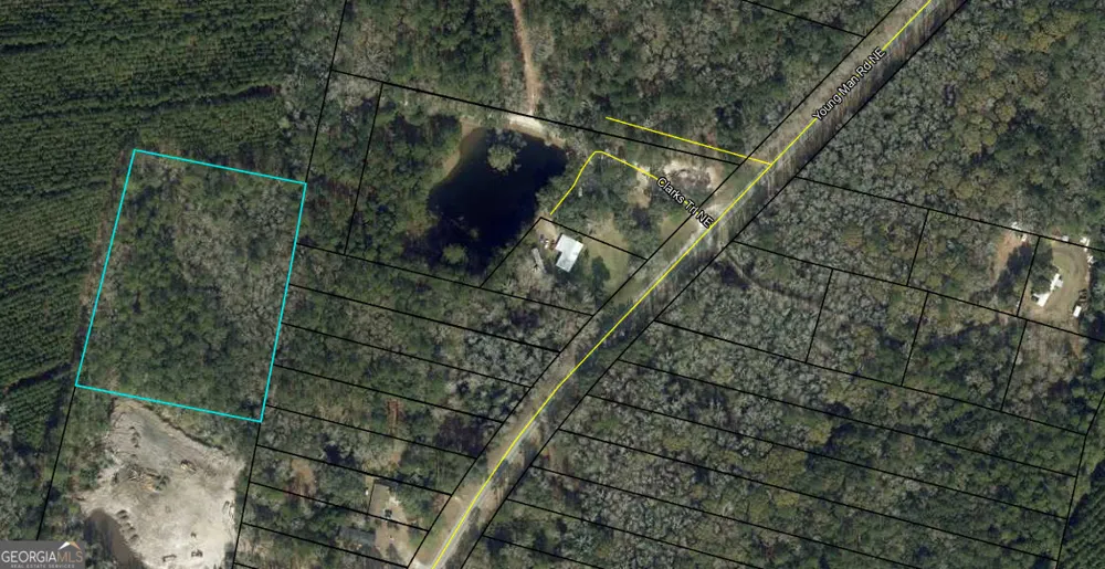 0 Youngman RD Townsend, GA 31331