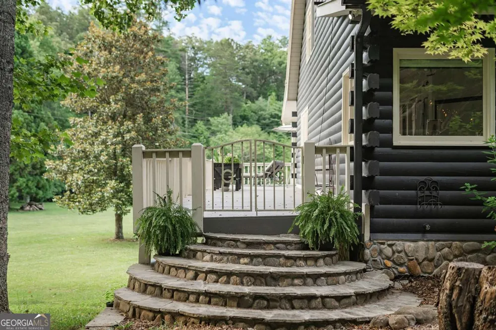 328 Black Ankle Creek RD Cherry Log, GA 30522