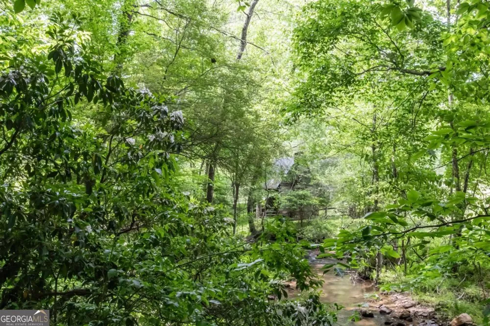 328 Black Ankle Creek RD Cherry Log, GA 30522