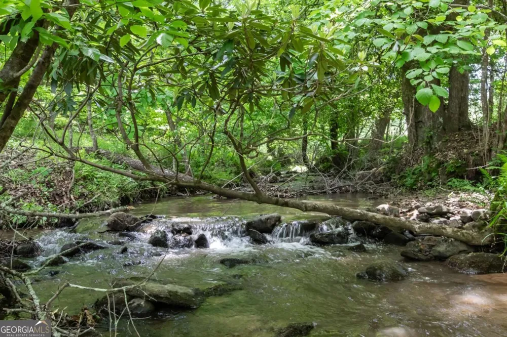 328 Black Ankle Creek RD Cherry Log, GA 30522