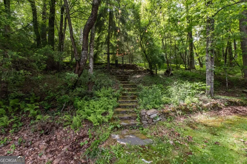 328 Black Ankle Creek RD Cherry Log, GA 30522