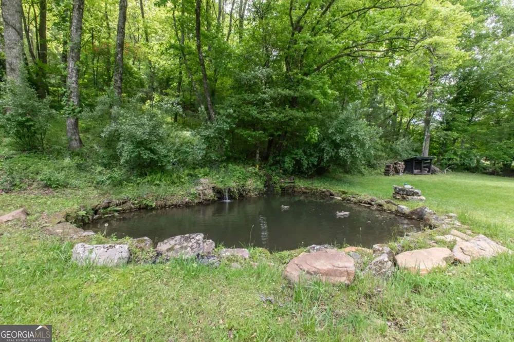 328 Black Ankle Creek RD Cherry Log, GA 30522