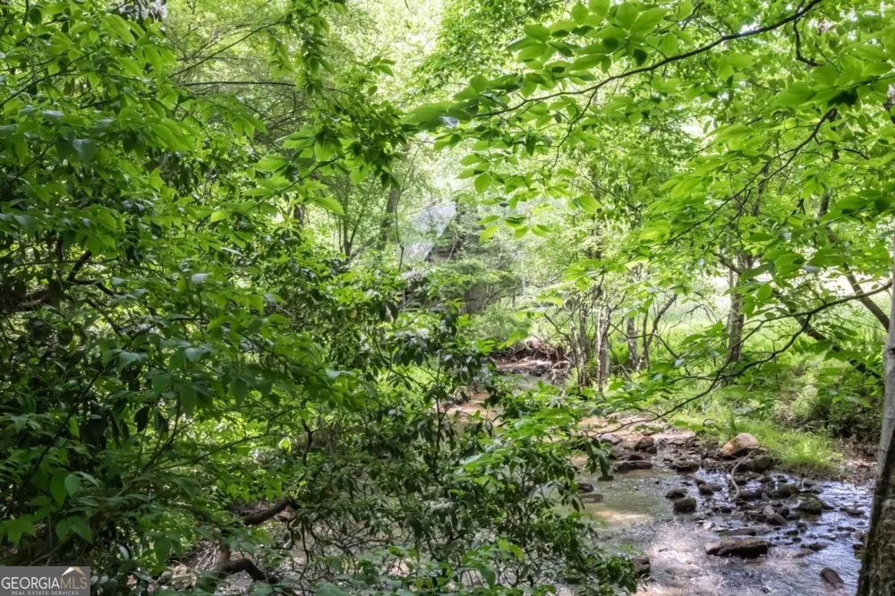 328 Black Ankle Creek RD Cherry Log, GA 30522