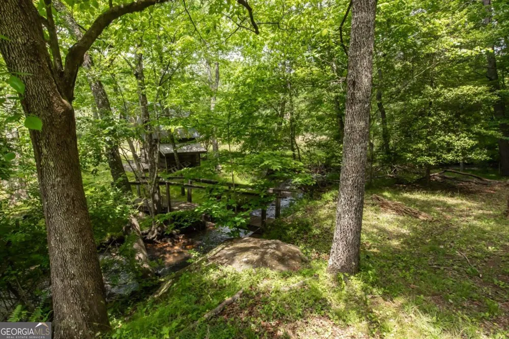 328 Black Ankle Creek RD Cherry Log, GA 30522