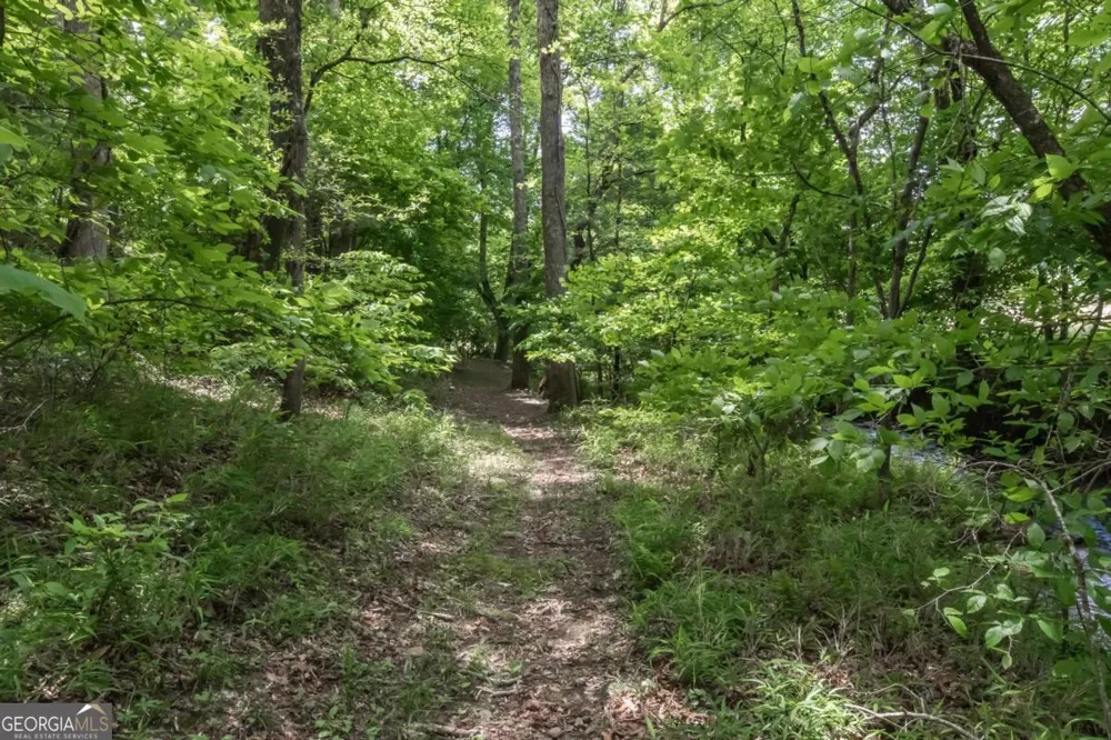 328 Black Ankle Creek RD Cherry Log, GA 30522