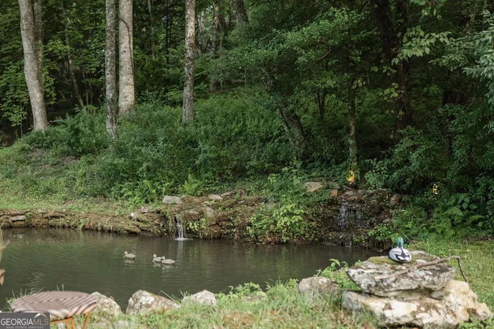 328 Black Ankle Creek RD Cherry Log, GA 30522
