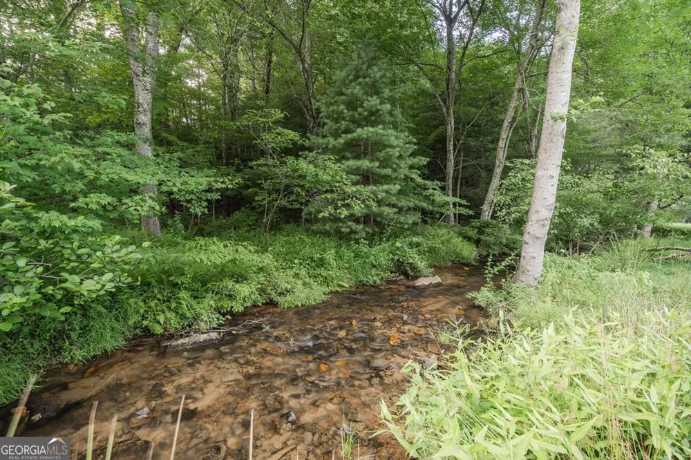 328 Black Ankle Creek RD Cherry Log, GA 30522