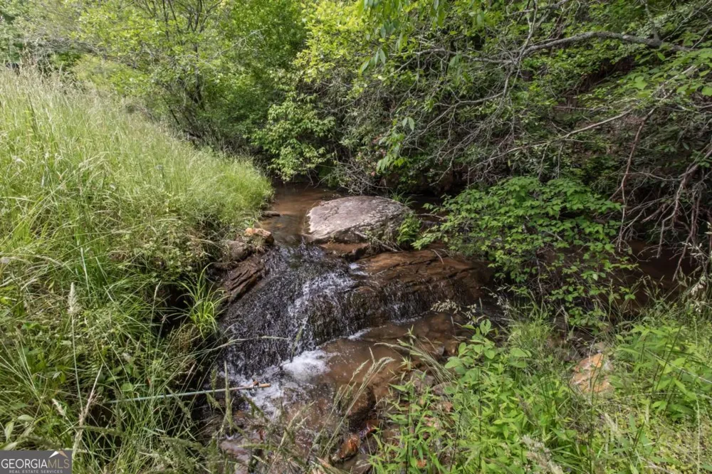 328 Black Ankle Creek RD Cherry Log, GA 30522