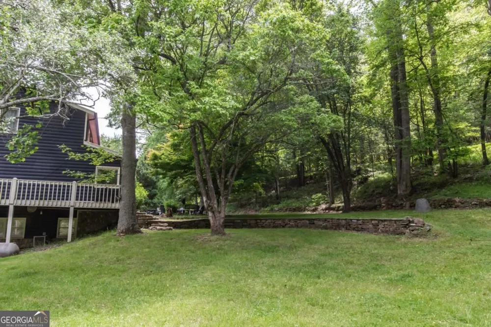 328 Black Ankle Creek RD Cherry Log, GA 30522