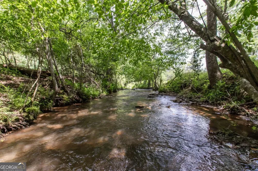 328 Black Ankle Creek RD Cherry Log, GA 30522