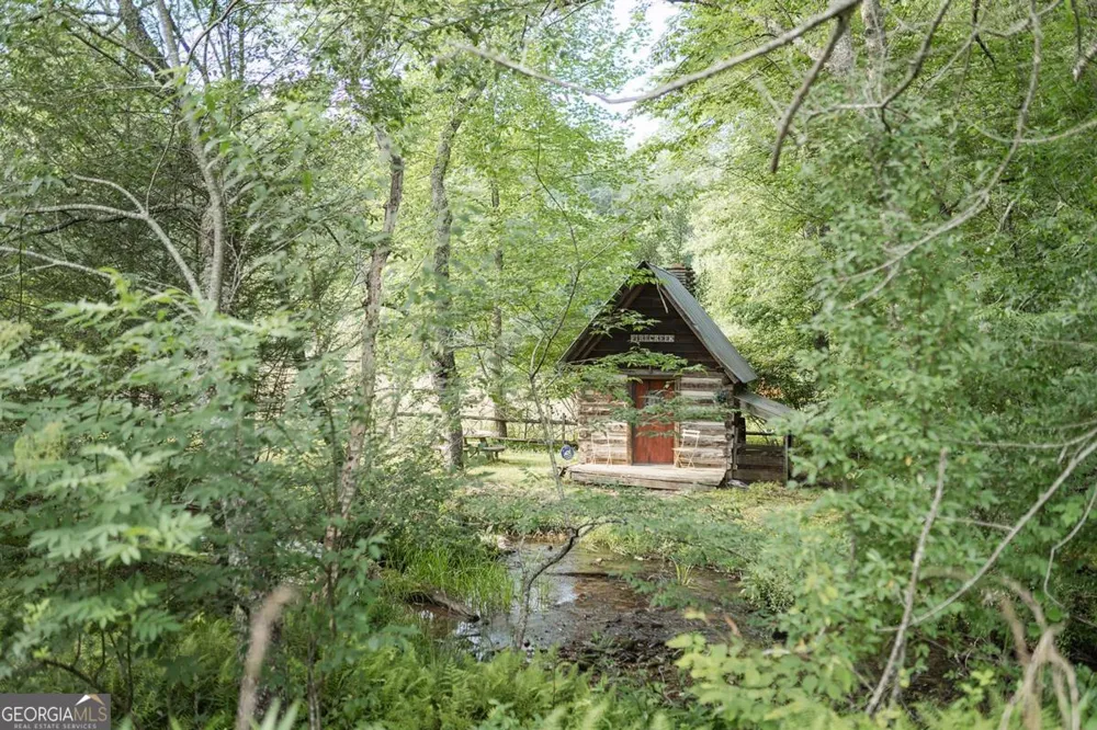 328 Black Ankle Creek RD Cherry Log, GA 30522