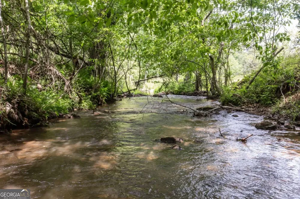 328 Black Ankle Creek RD Cherry Log, GA 30522
