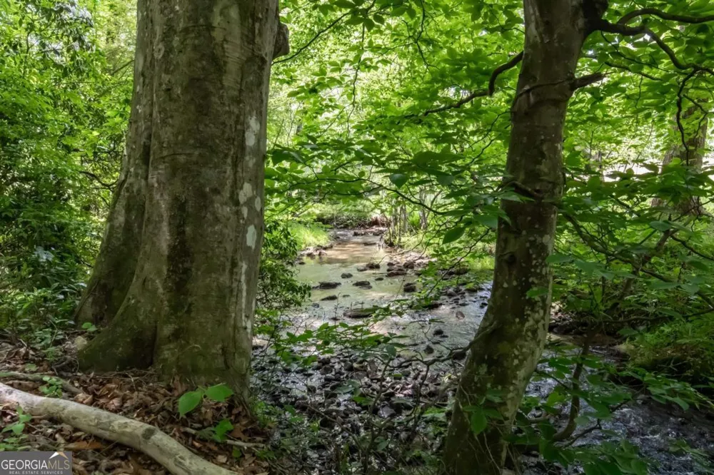 328 Black Ankle Creek RD Cherry Log, GA 30522