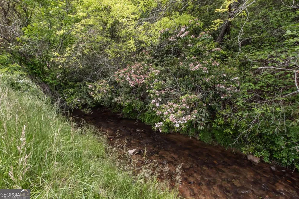 328 Black Ankle Creek RD Cherry Log, GA 30522