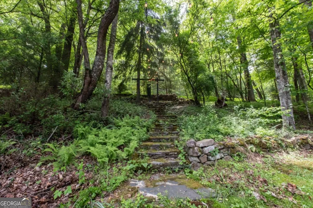 328 Black Ankle Creek RD Cherry Log, GA 30522