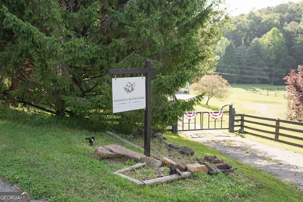 328 Black Ankle Creek RD Cherry Log, GA 30522