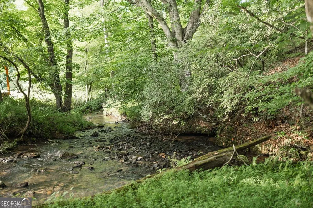 328 Black Ankle Creek RD Cherry Log, GA 30522