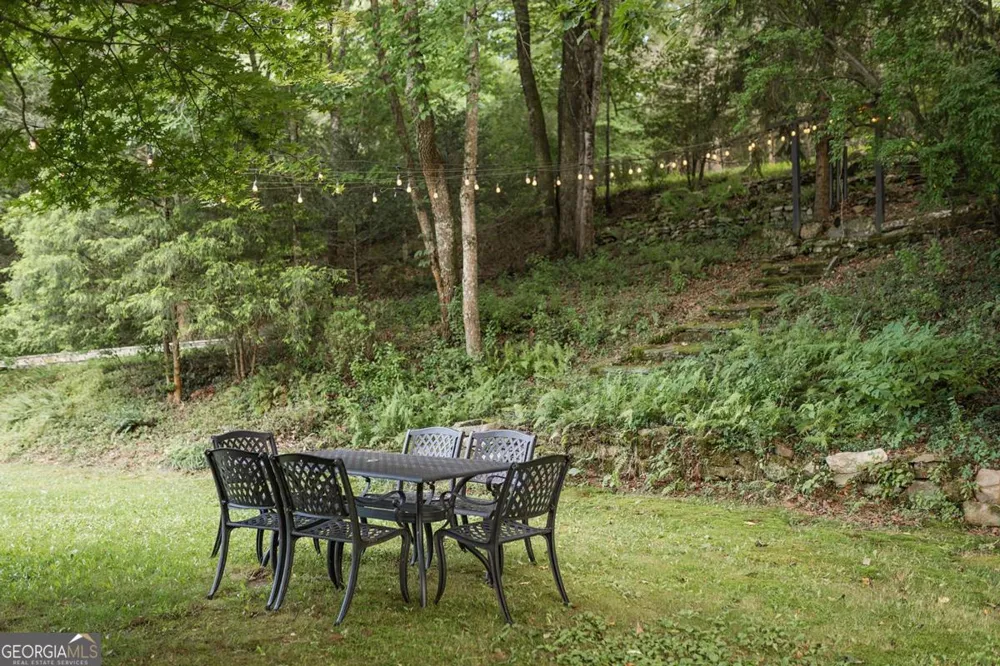 328 Black Ankle Creek RD Cherry Log, GA 30522