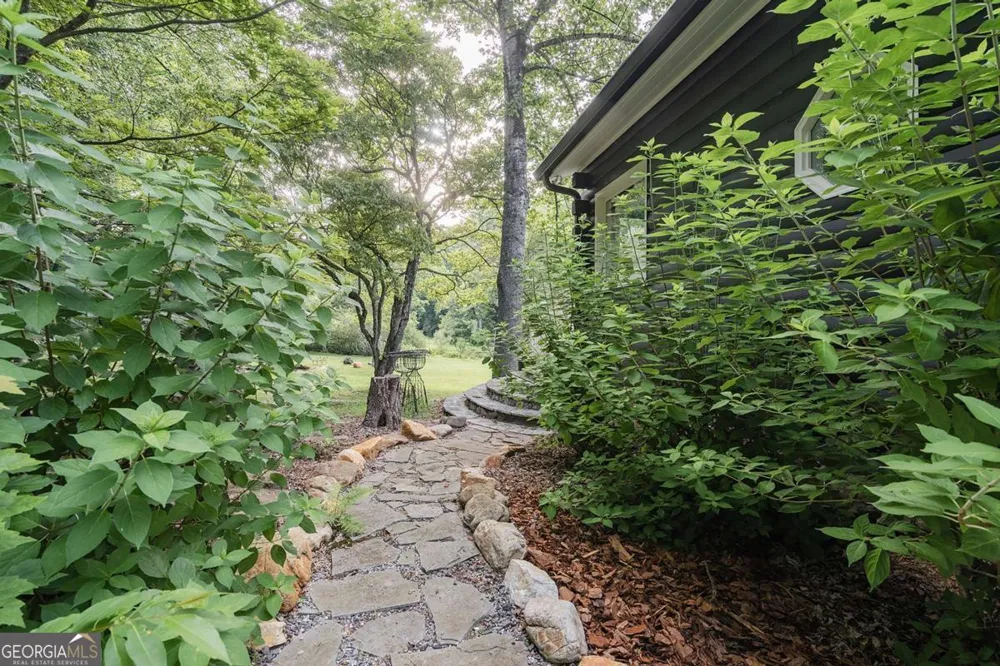 328 Black Ankle Creek RD Cherry Log, GA 30522