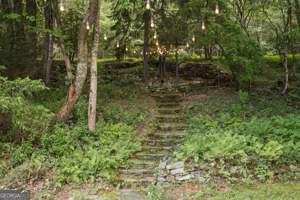 328 Black Ankle Creek RD Cherry Log, GA 30522