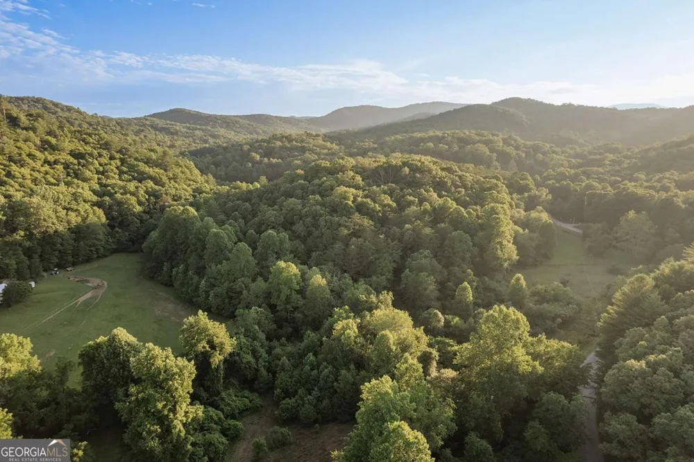 328 Black Ankle Creek RD Cherry Log, GA 30522