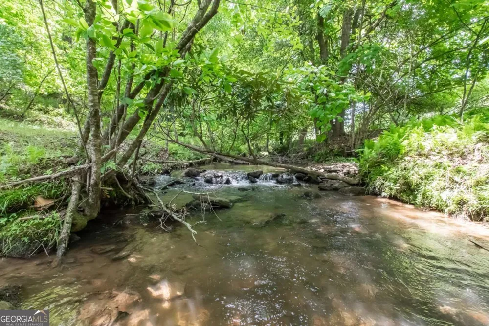 328 Black Ankle Creek RD Cherry Log, GA 30522