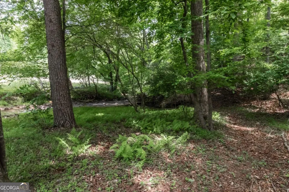 328 Black Ankle Creek RD Cherry Log, GA 30522