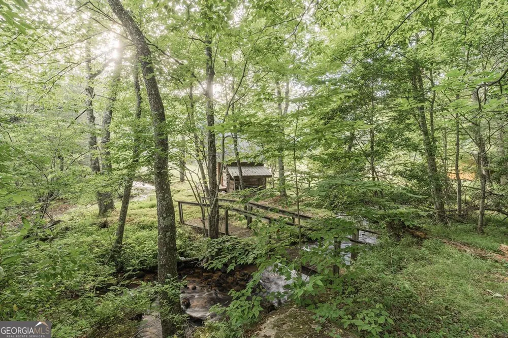328 Black Ankle Creek RD Cherry Log, GA 30522