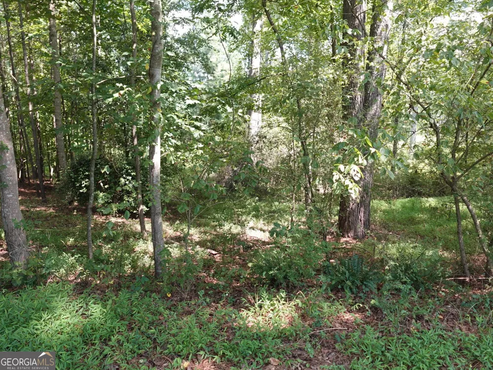 3588 Demooney RD South Fulton, GA 30349