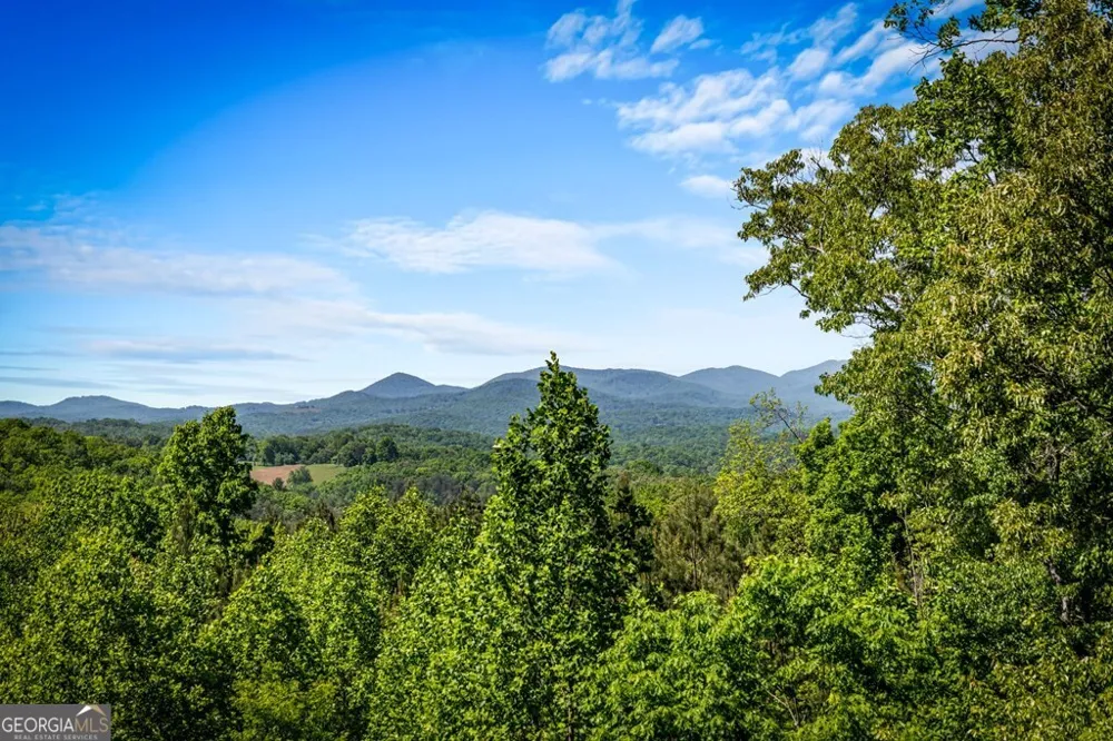 479 Big Timber RD Mineral Bluff, GA 30559