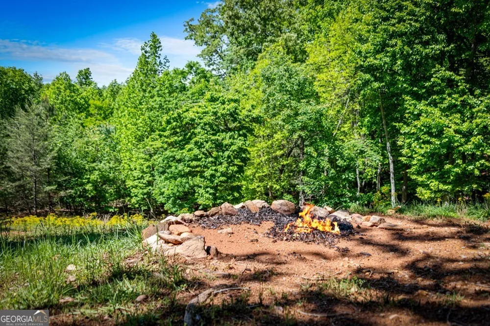 479 Big Timber RD Mineral Bluff, GA 30559