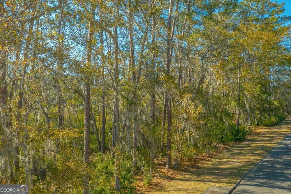 119 Rice Mill St. Simons, GA 31522