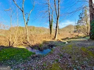 462 River Vista DR Dillard, GA 30537