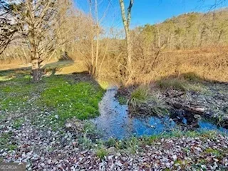 462 River Vista DR Dillard, GA 30537