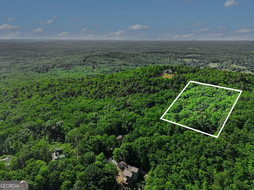 595 Whispering Dale DR Clarkesville, GA 30523