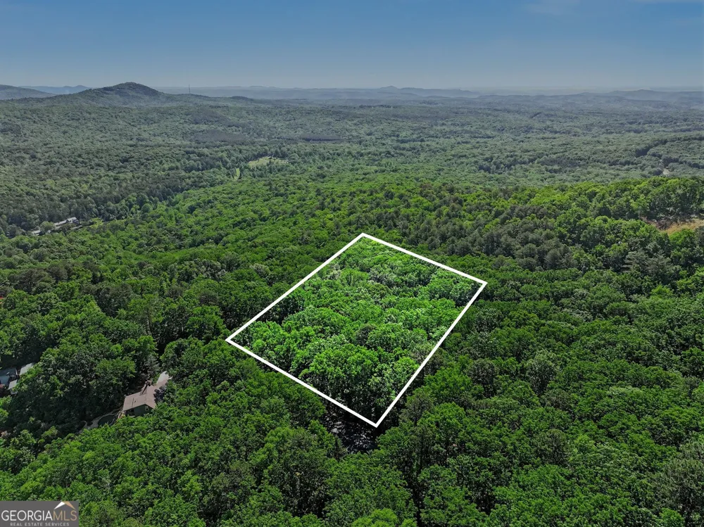 595 Whispering Dale DR Clarkesville, GA 30523